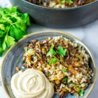 Single portion of the Lebanese Lentils and Rice with a big spoon of hummus.