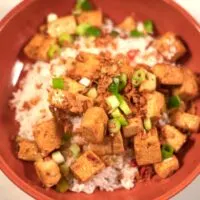 A serving of Chinese Tofu over white rice.