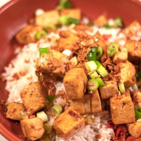 Closeup of Chinese Tofu serving.