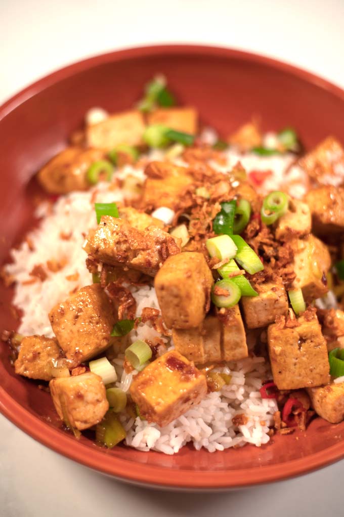 Closeup of Chinese Tofu serving.