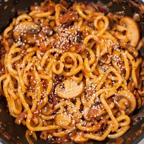 Closeup of Simple Udon Noodles