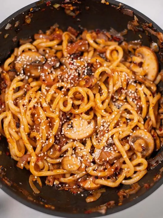 Closeup of Simple Udon Noodles