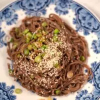 Closeup of the Soba Noodles Sauce.