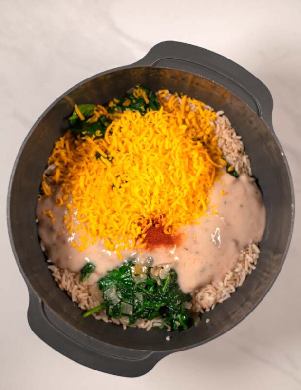 Cream of mushroom soup and spices are given to the mixing bowl.